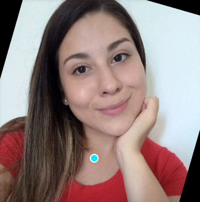 <em>Jessica Frank</em>